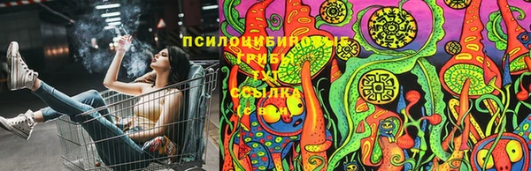 2c-b Баксан