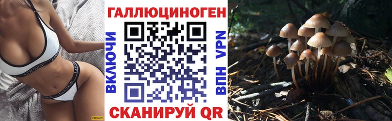 omg онион  купить   Зверево  Псилоцибиновые грибы GOLDEN TEACHER 